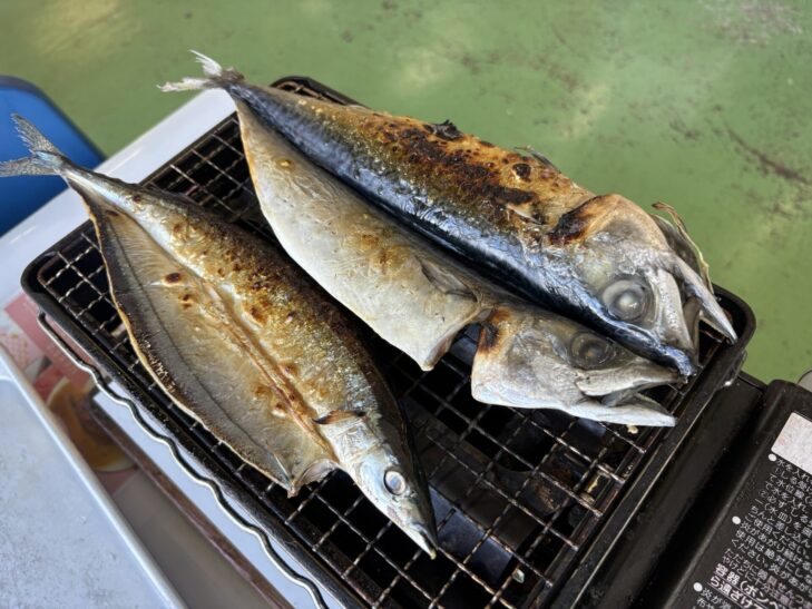 漁港食堂だいぼの朝飯